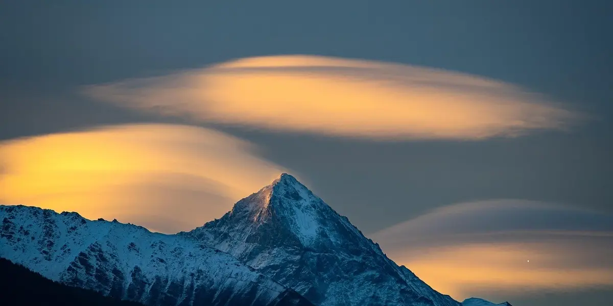 Professional surveyor using measuring equipment to calculate land distances and angles